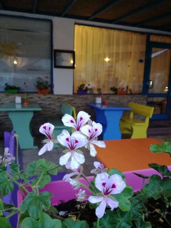 Alba Family Club Hotel Primorsko Extérieur photo
