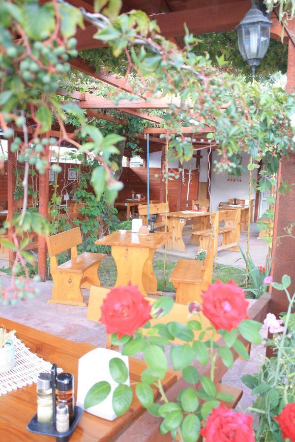 Alba Family Club Hotel Primorsko Extérieur photo